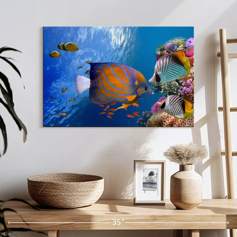 Lively underwater life Aletra, H 16 po x l 24 po
