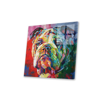 " Bulldog " by Jos Coufreur