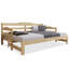 Lassen Solid Wood Daybed with Trundle