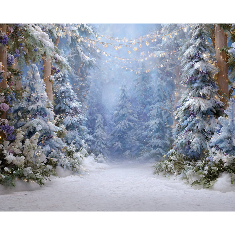 «Winter Lights Enchanted Path», art mural sur toile tendue, H 12 po x l 16 po