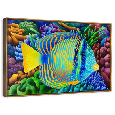 Sailfin Tang
