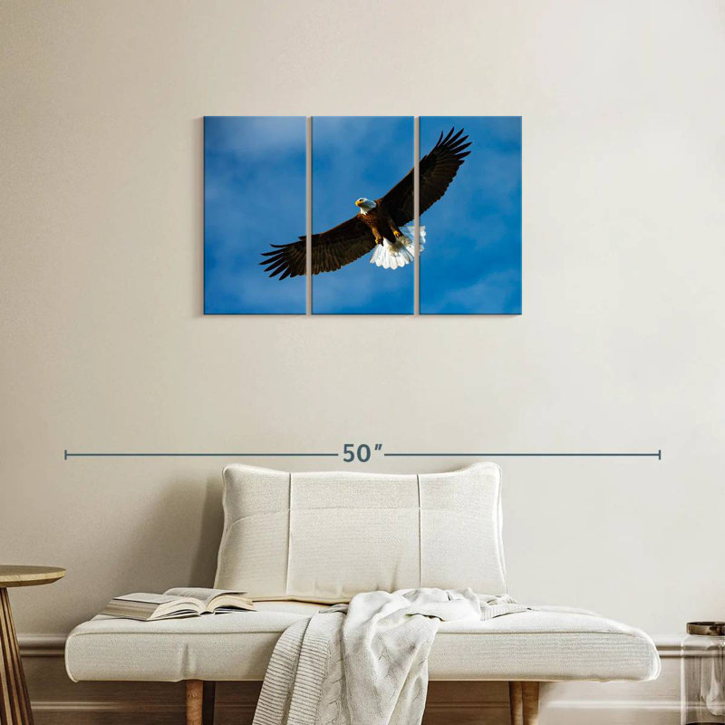 Brampt Eagle From Below, 20" H x 33" W