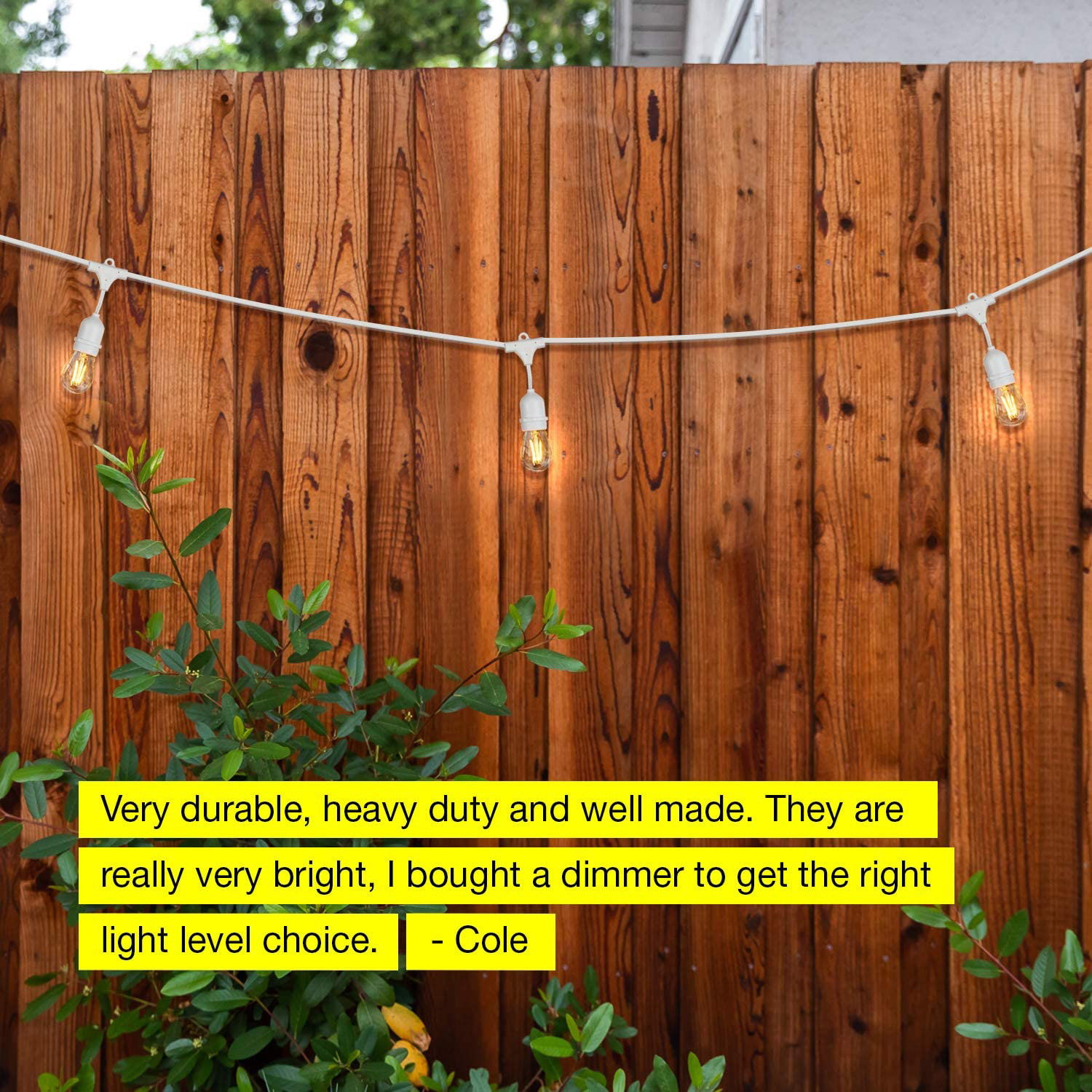 Ambience Pro Outdoor Hanging String Lights, White, 48 ft