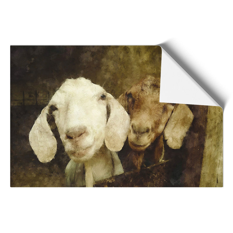 Pair Of Goats - No Frame Print, 42cm H x 59cm W x 0.1cm D
