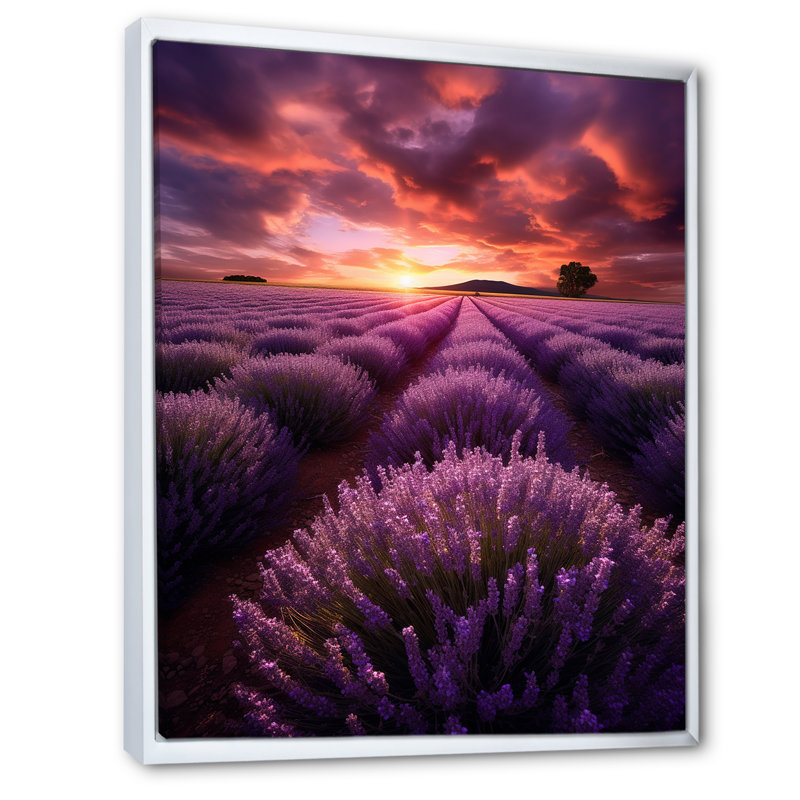 Lavande enchanteresse - impression, H 32 po x l 16 po x P 1 po, Cadre flottant blanc