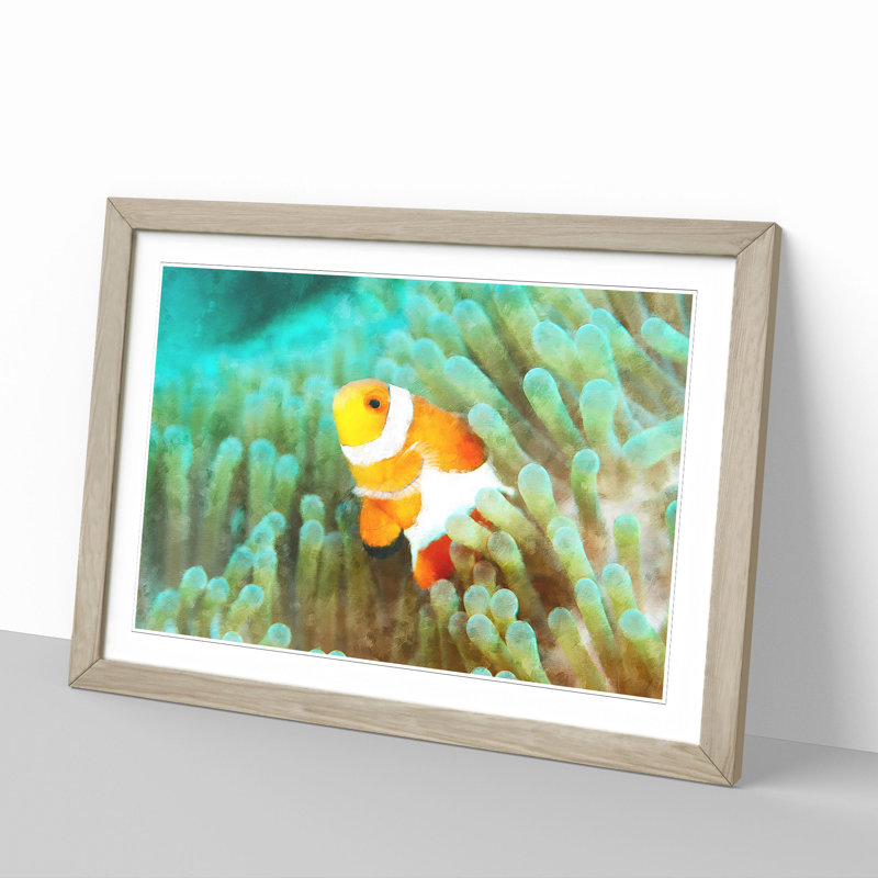 Clownfish Vol.1 - Picture Frame Graphic Art, Oak Framed, 36cm H x 48cm W x 2cm D