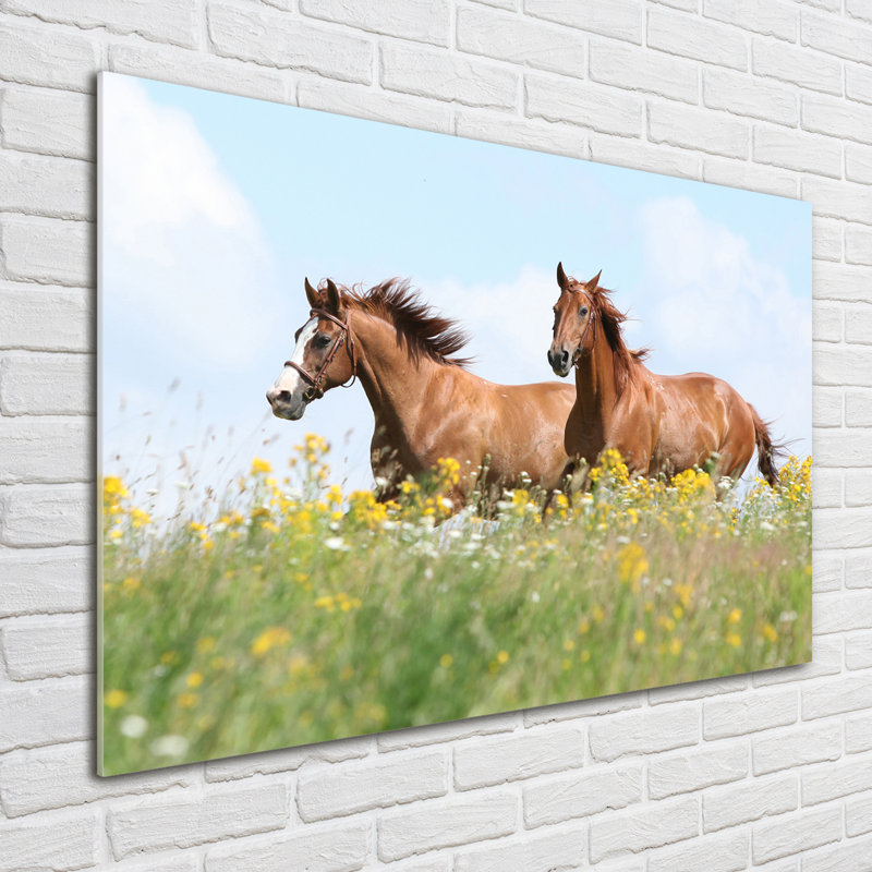 Two Horses At A Gallop - No Frame Print on Glass