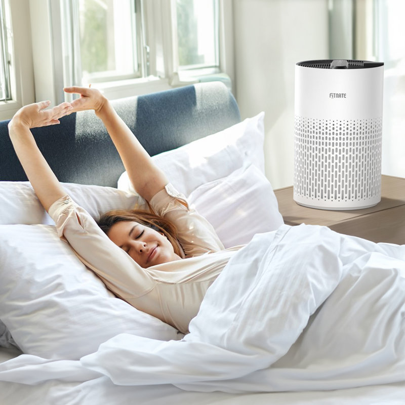 Purificateur d'air Fitnate avec filtre HEPA, Blanc
