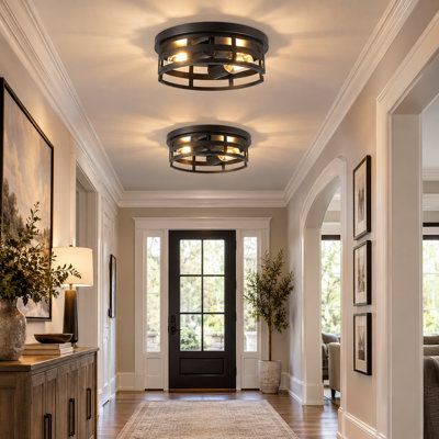 2-Light Farmhouse Flush Mount Ceiling Light, 2 Pack Black Metal Cage Light Fixture For Living Room, Entryway