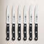 Gourmet Steak Knife Set