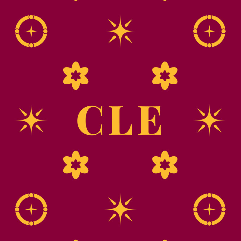 Oreiller Cleveland Basketball, Simple 39,5 po x 29,5 po, Rouge or rouge Basketball Cleveland, Coussin de tête de lit simple