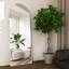 Carlyann Aluminium Framed Freestanding Full Length Mirror-1610385654-1610385656