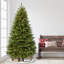 Fraser 7.5' Lighted Artificial Fir Christmas Tree