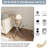 Babb Glass Cross Legs End Table-339584614
