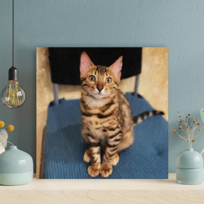 «Brown Tabby Cat On Blue Chair», reproduction d'art graphique sur toile tendue carrée 1 pièce