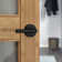 Milan Round Rose Dummy Lever In Matte Black