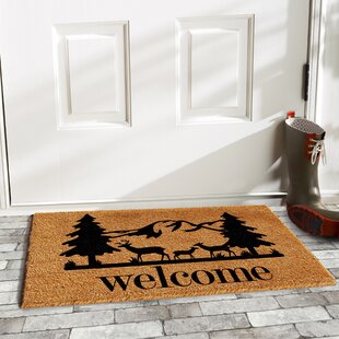 Indoor Funny Doormat for Entryway Brown Bear Welcome Mats for Front Door  Western Rustic Shoe Mat Cabin Decor Floor Mat Non-Slip Rug
