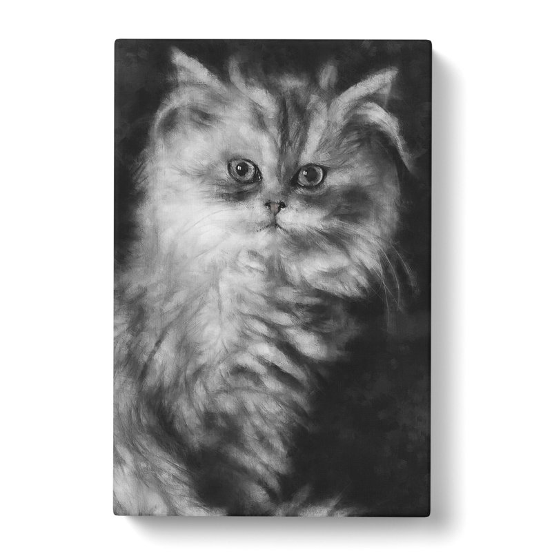 Persian Cat - Wrapped Canvas, 76cm H x 50cm W x 3cm D