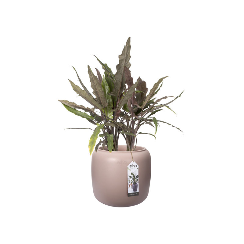 Pure Beads Pot Planter, Pebble pink, 34.9 H x 39.2 W x 39.2 D
