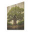 Vert arbre vert baobab majestueux IV - Arbre africain sur bois-1060182274