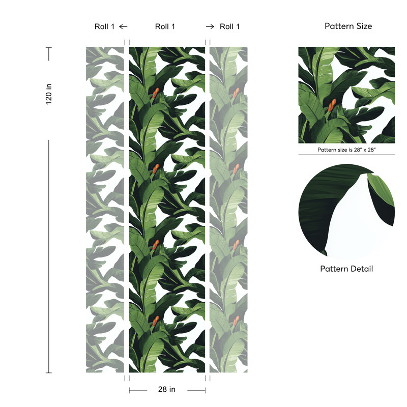 Papier peint botanique moderne vert avec feuilles de bananier tropical