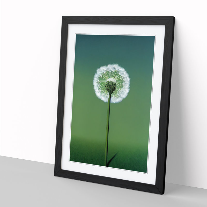Single Dandelion - Single Picture Frame Print, Black, 64cm H x 46cm W x 2cm D