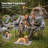 Loveseat Camping Chair with Mat, Double Camping Chair Folding Chair for Two People, Gray