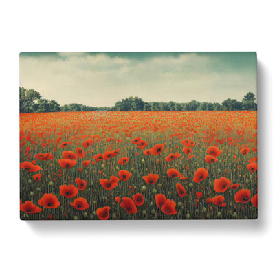 Engaging Poppy Field Flowers - Wrapped Canvas