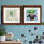 «Playful Nature», ensemble de 2 peintures-223639065-223639068