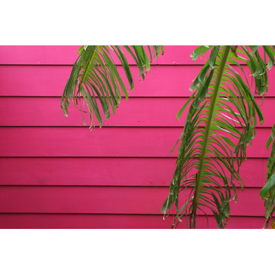 " Tropical Pink Wall "