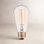 60W ST19 Incandescent Dimmable Bulb