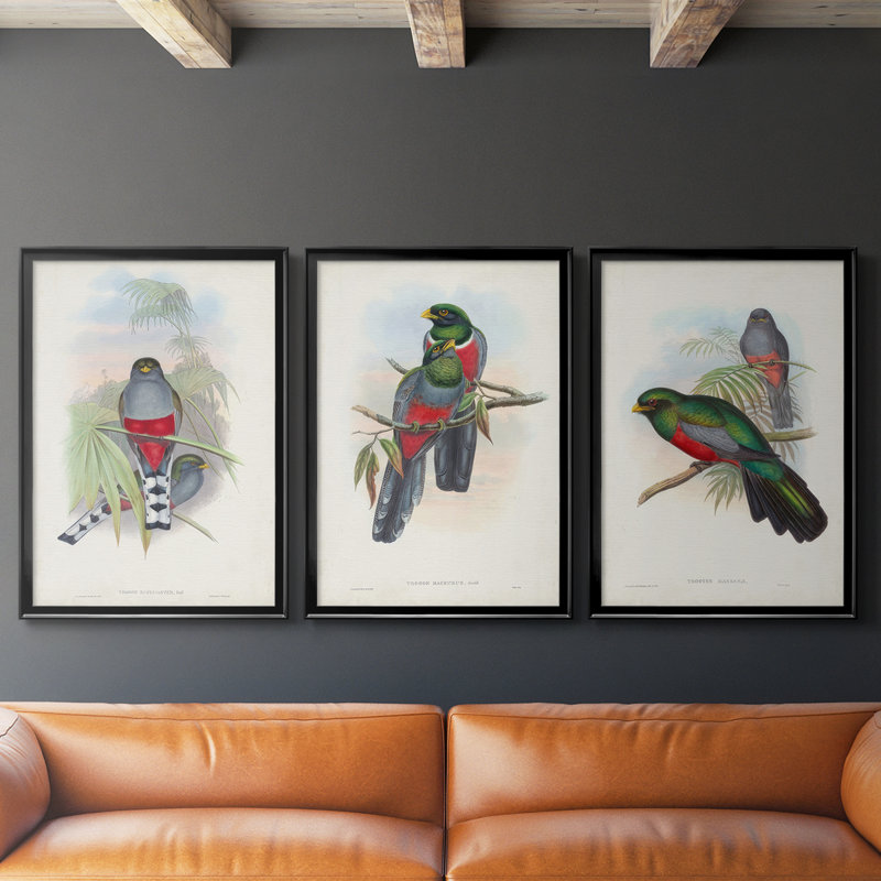 Gould Tropical Birds IV - Toile tendue avec châssis sur mesure - 3 pièces, Noir, noir, noir, noir, H 30 po x l 63 po