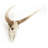 Bull Skull Handmade Rustic Landscape & Nature Resin Wall Decor