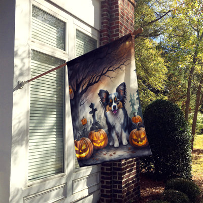 Double Sided 40'' H x 28'' W Polyester Halloween House Flag