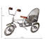 15 In Open Air Rickshaw - Silver-1009701969