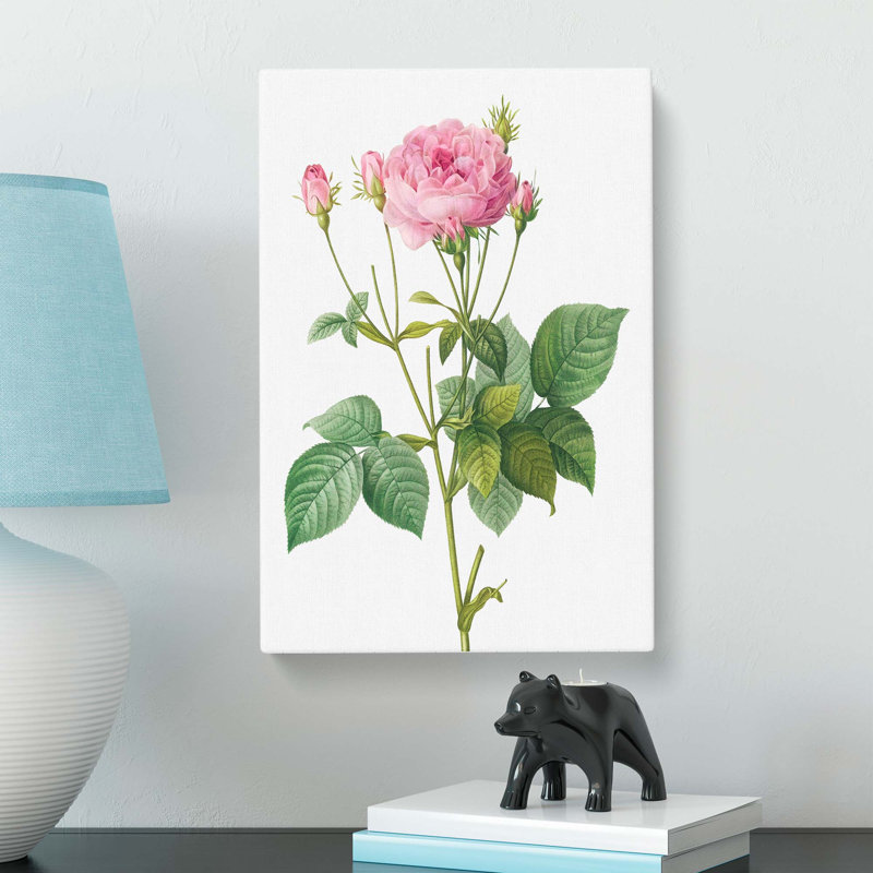 Pretty Pink French Roses by Pierre-Joseph Redoute - Wrapped Canvas, 60cm H x 40cm W x 3cm D