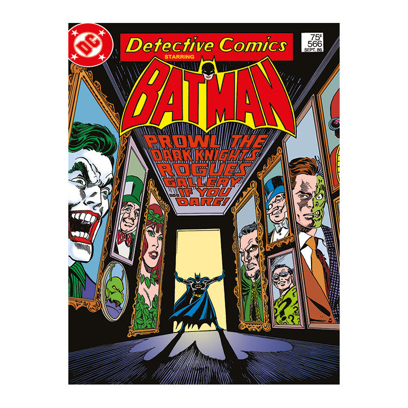 Rogue Gallery, Batman Graphic Art Print on Canvas, 80cm H x 60cm W x 3.8cm D