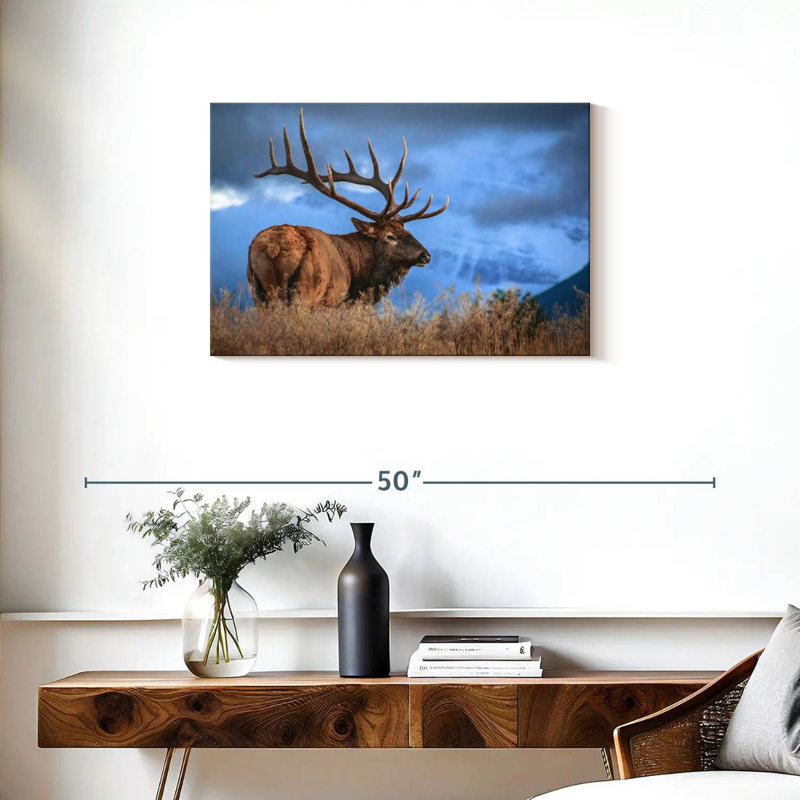 Majestic bull wapiti, H 20 po x l 30 po