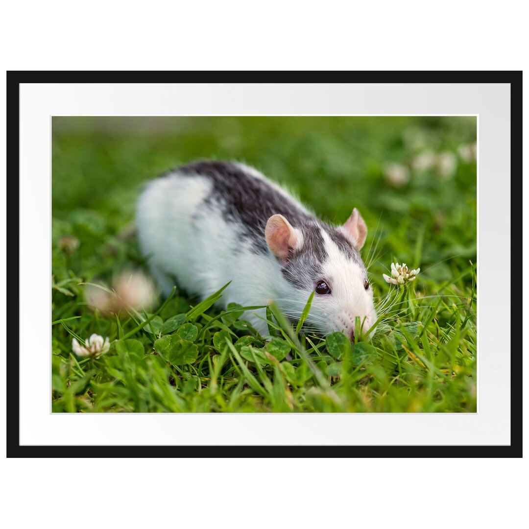 Gerahmtes Poster Kleine Maus auf Blumenwiese