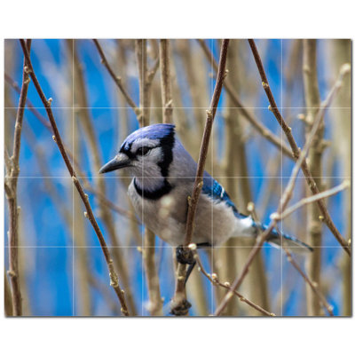 Bird Photo 6'' x 6''