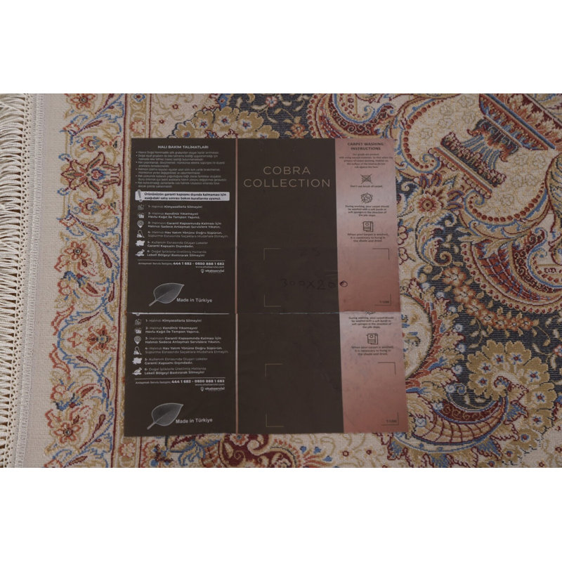 Traditional Oriental Area Rug 7x10