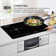 Equator 20" HORIZONTAL 2-BURNER Induction Cooktop 9 Power Builtin/Freestand 110V