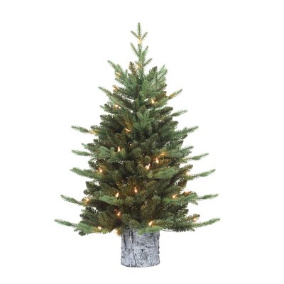 3' H Green Realistic Artificial Pine Christmas Tree with 50 Lights -  The Holiday Aisle®, 57982C31250E4951AA6128A857CC81D7