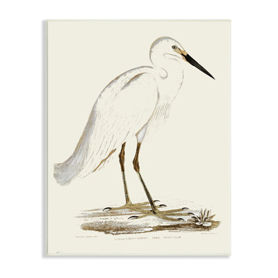 Illustration rétro d'une aigrette dans un marais