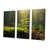 Wrapped Canvas