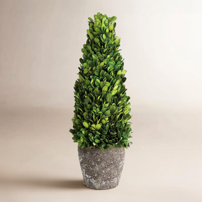 Alby Centerpiece in Pot
