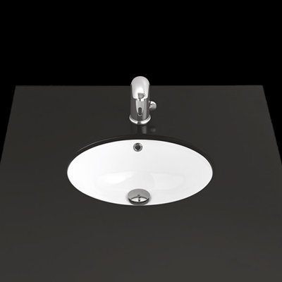 16.9 in. L Bathroom Sink