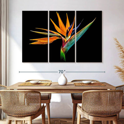 Harnek Strelitzia particulier
