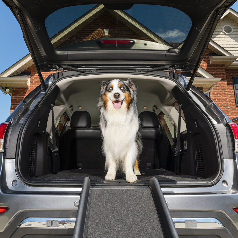 Happy Ride Folding Dog Ramp