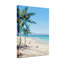Plantes et fleurs, plage tropicale, palmiers, océan, ciel, noix de coco, vagues de sable-689088807
